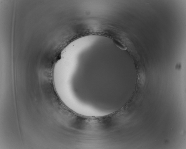 X0000112150419200909181428