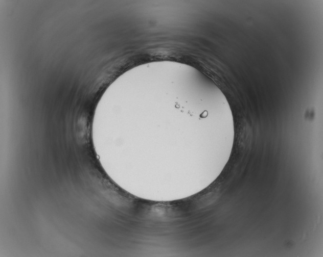 X0000112150420200909181428
