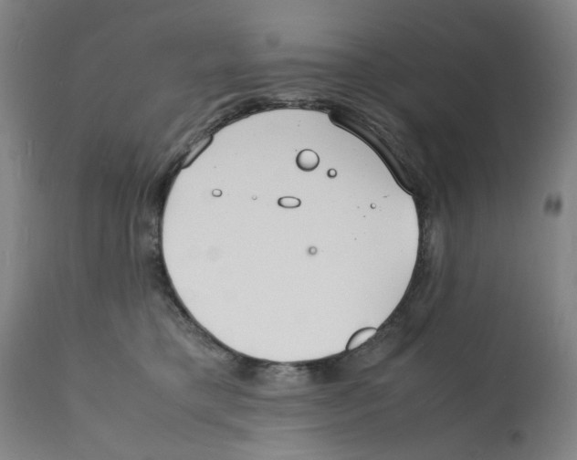 X0000112150421200909181428