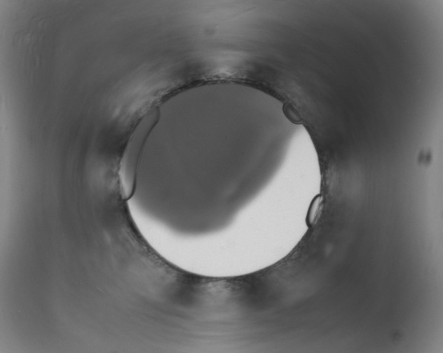 X0000112150423200909181428