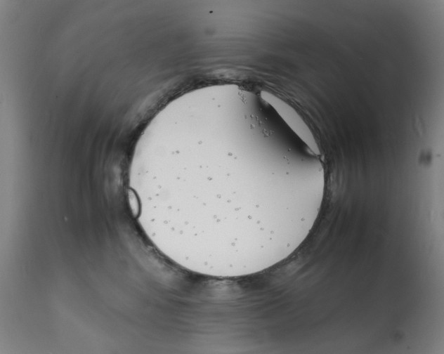 X0000112150424200909181428
