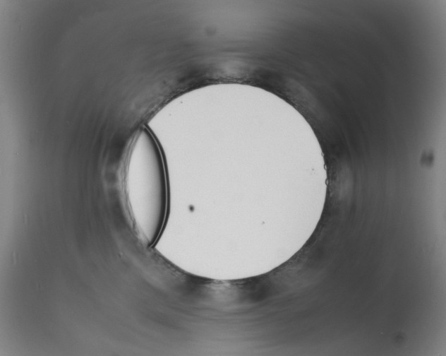 X0000112150425200909181428