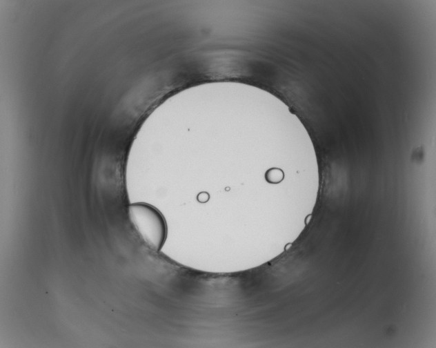 X0000112150426200909181428