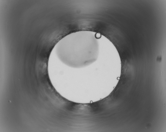 X0000112150427200909181428