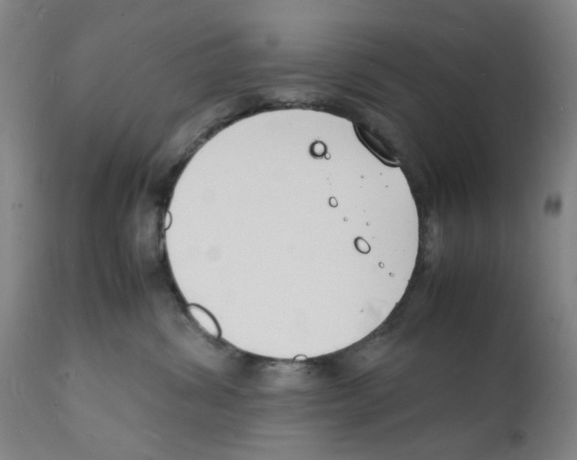 X0000112150428200909181428