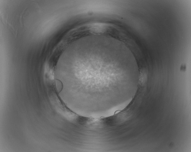 X0000112150431200909181427