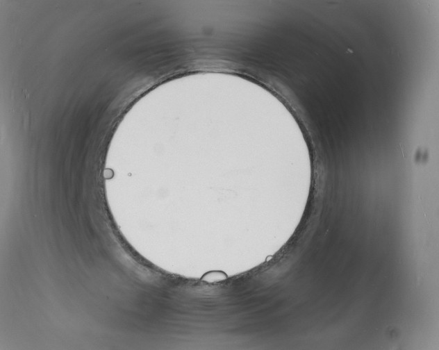 X0000112150433200909181427
