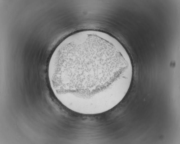 X0000112150434200909181427