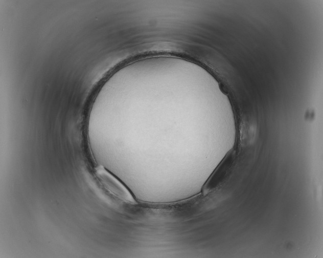X0000112150436200909181427