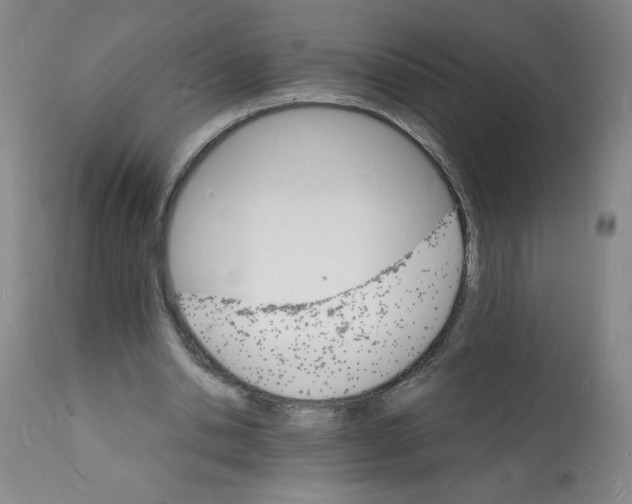 X0000112150438200909181427