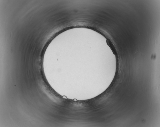 X0000112150439200909181427
