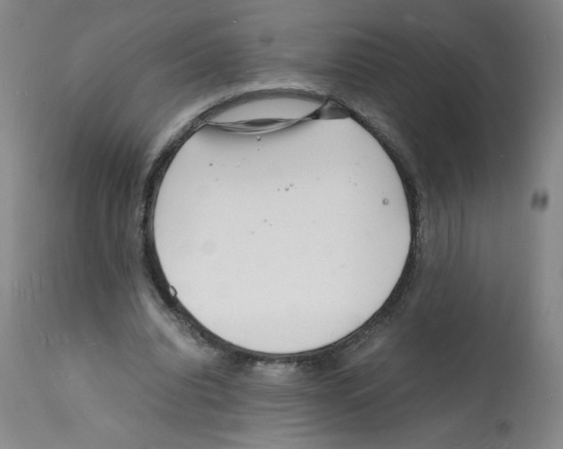 X0000112150440200909181427