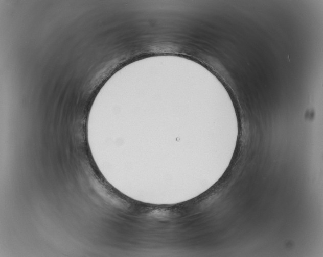 X0000112150441200909181427