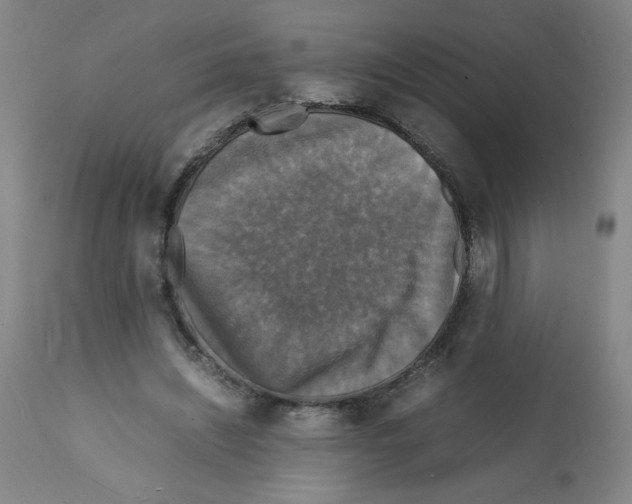 X0000112150444200909181427