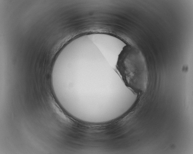 X0000112150445200909181427