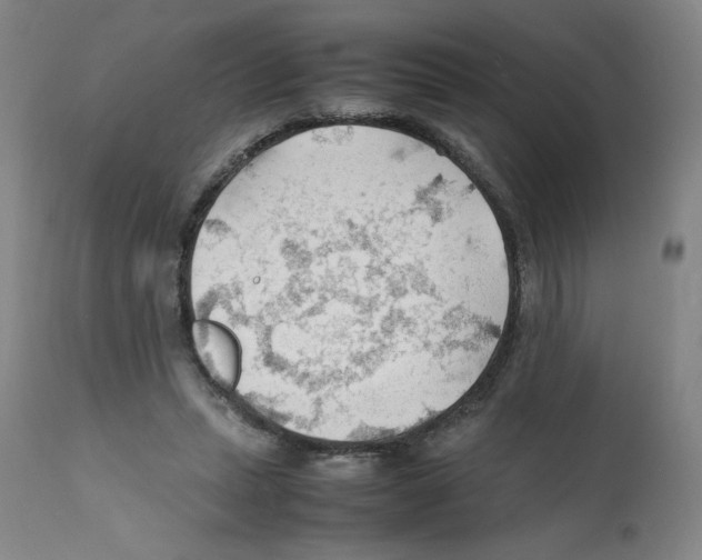 X0000112150447200909181427