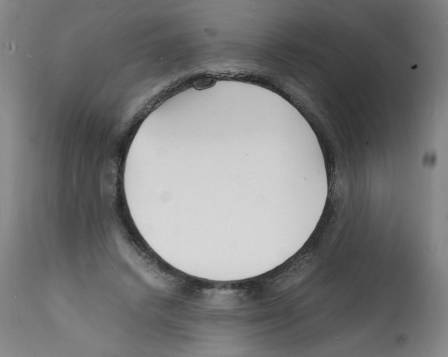 X0000112150448200909181427