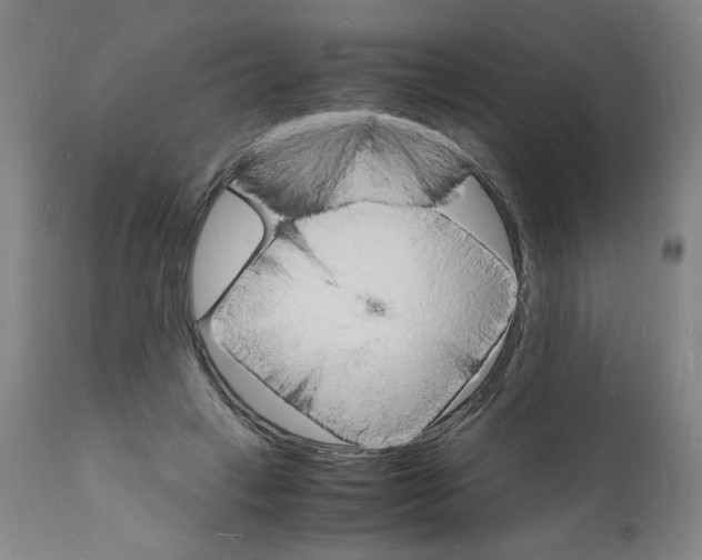 X0000112150449200909181427