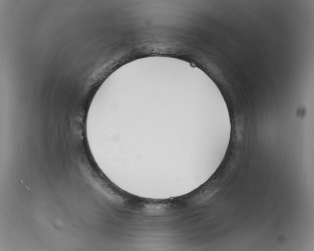 X0000112150450200909181427