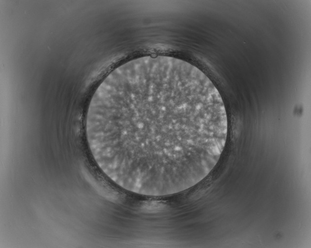 X0000112150451200909181427