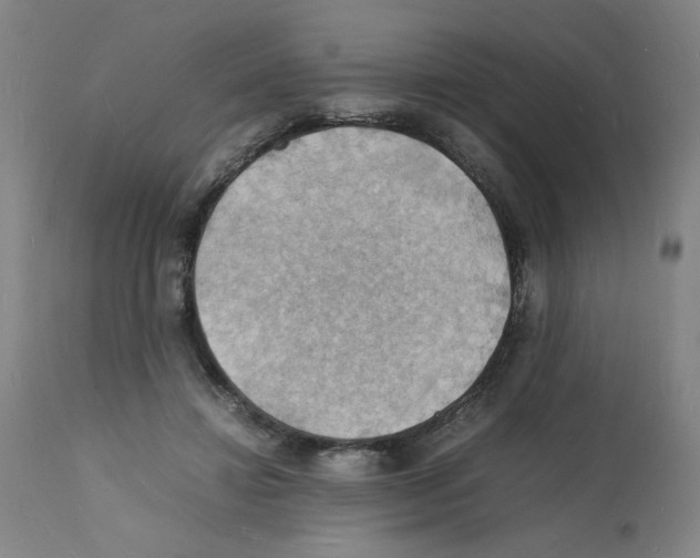 X0000112150452200909181427