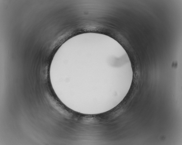 X0000112150454200909181427