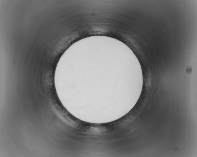 X0000112150455200909181427