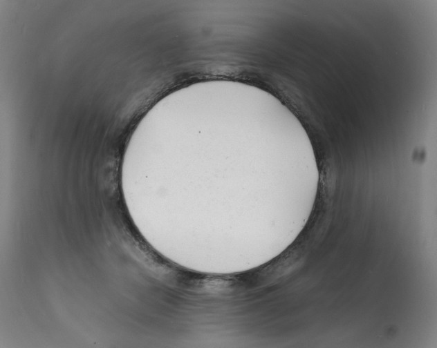 X0000112150462200909181427