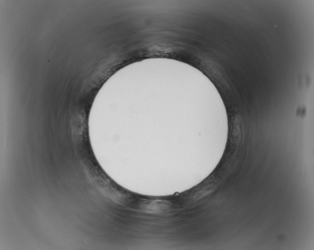 X0000112150463200909181427