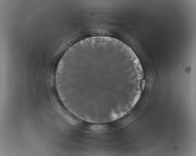 X0000112150465200909181427