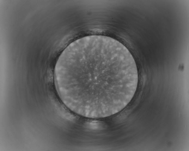 X0000112150467200909181427