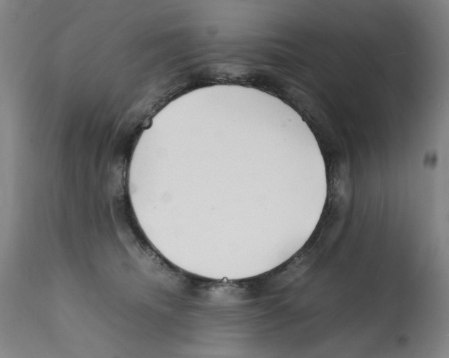 X0000112150468200909181427