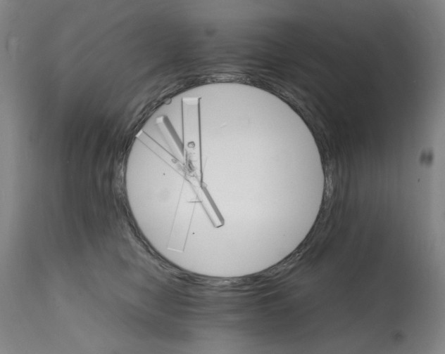 X0000112150470200909181427