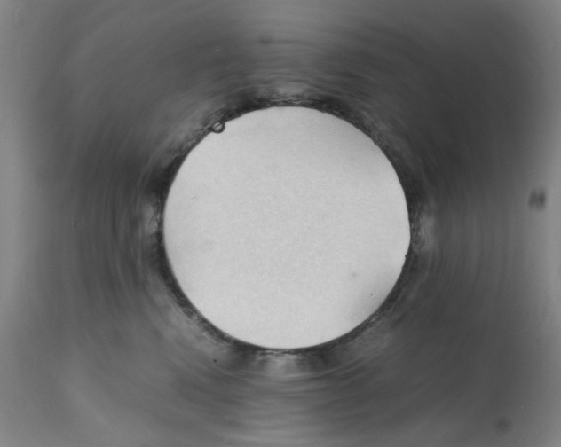X0000112150472200909181427