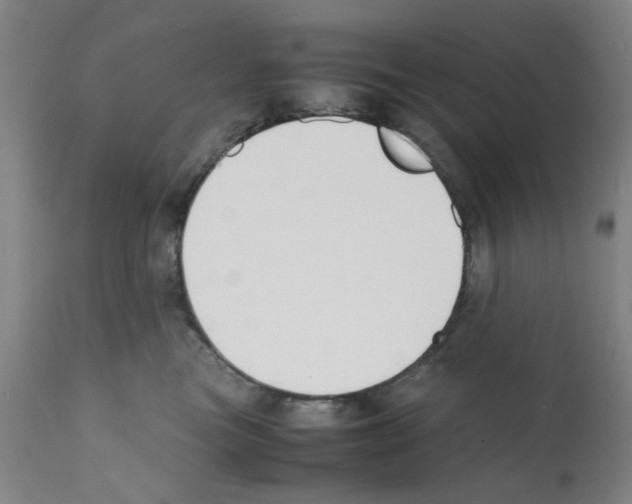 X0000112150473200909181427
