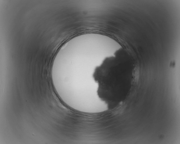 X0000112150474200909181427