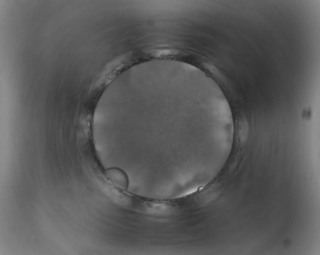 X0000112150475200909181427