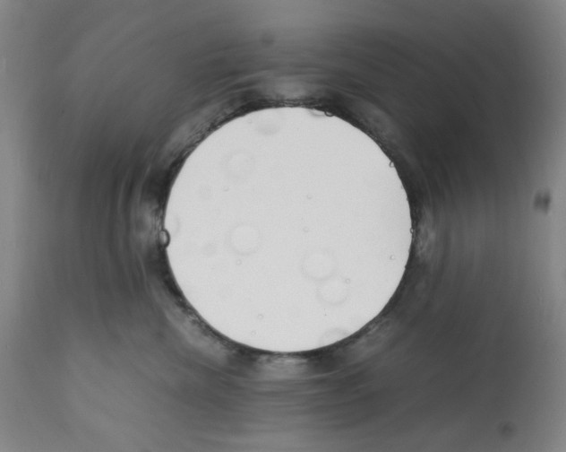 X0000112150476200909181427