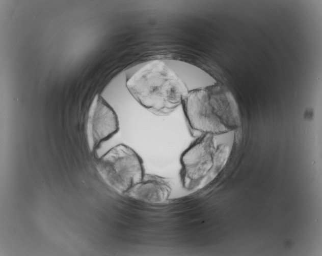 X0000112150477200909181427