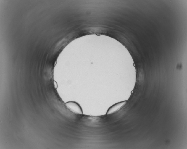 X0000112150478200909181427
