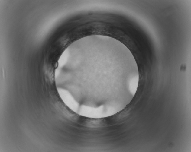 X0000112150479200909181427