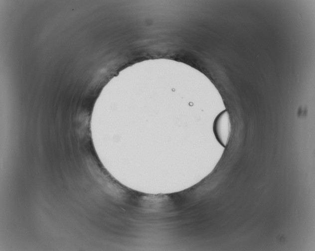X0000112150480200909181427