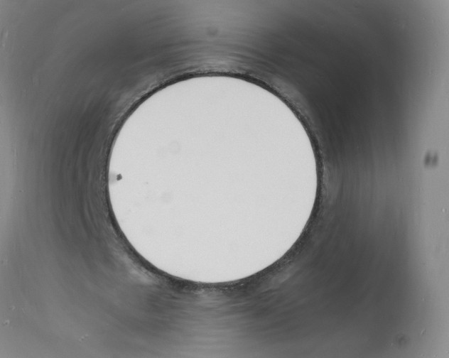 X0000112150481200909181427