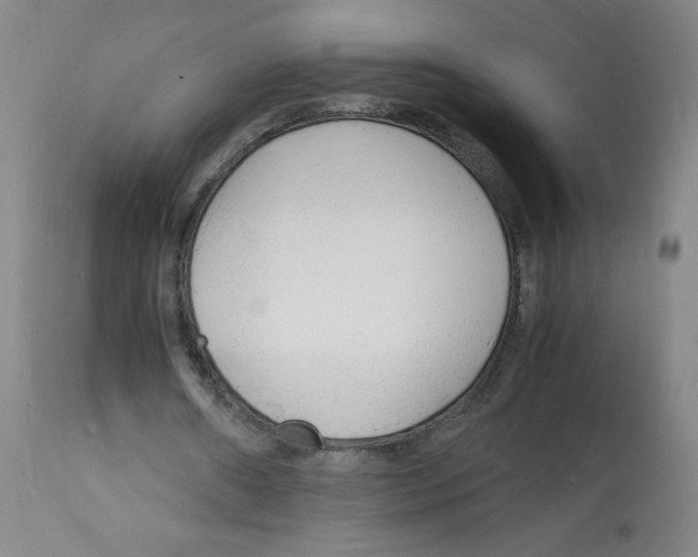 X0000112150482200909181427