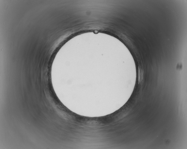 X0000112150483200909181427