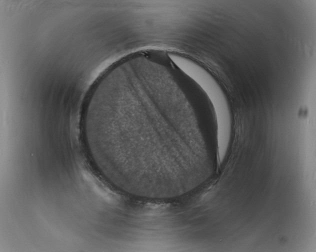 X0000112150484200909181427