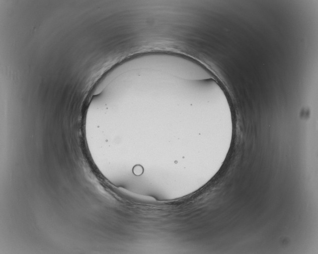 X0000112150485200909181427