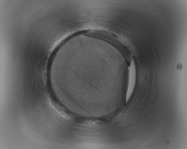 X0000112150488200909181427