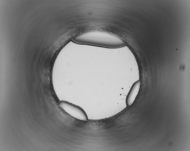 X0000112150489200909181427
