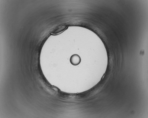 X0000112150493200909181427